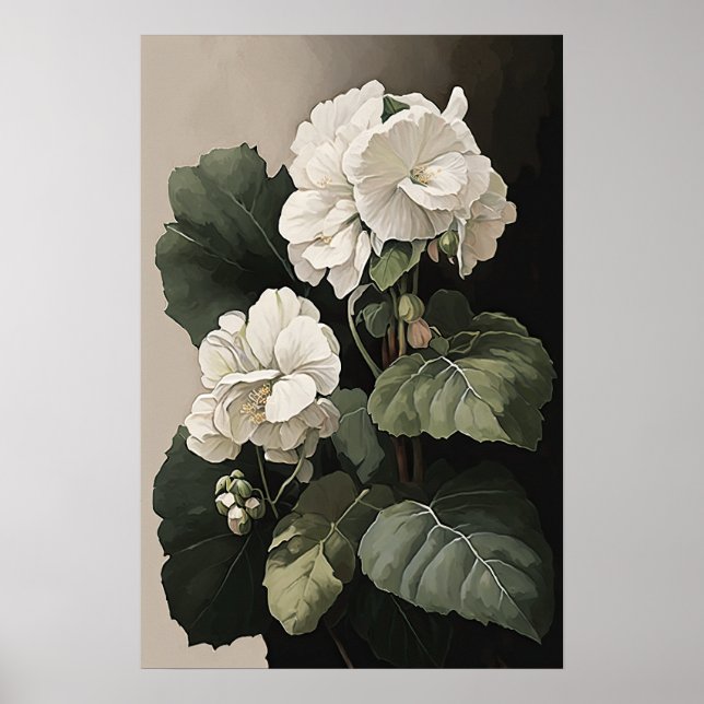 Poster de impresión de arte florido de Begonias bl (Frente)