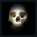 Poster de impresión de arte pop de cráneo - Poster<br><div class="desc">Skeleton de arte fantasmal - Punk Metalizado pesado Rock College Imagen de arte pop</div>