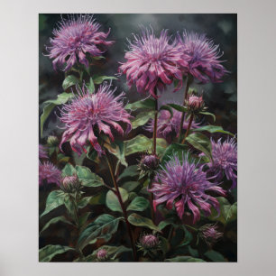 Poster de impresión de arte Purple Bee Balm
