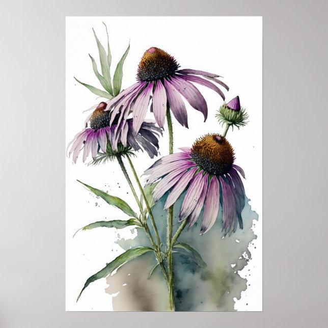 Poster de impresión de arte Purple Coneflowers (Frente)