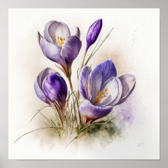 Poster de impresión de arte Purple Crocus Flowers (Frente)