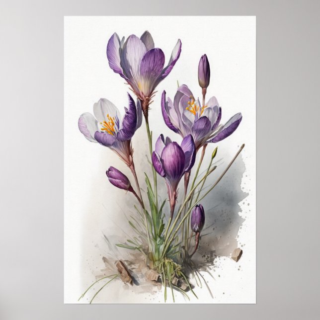 Poster de impresión de arte Purple Crocus Flowers (Frente)