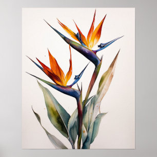 Poster De Impresión De Ave De Arte Paraíso