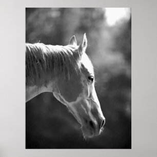 Poster de impresión de caballos de arte pop negro