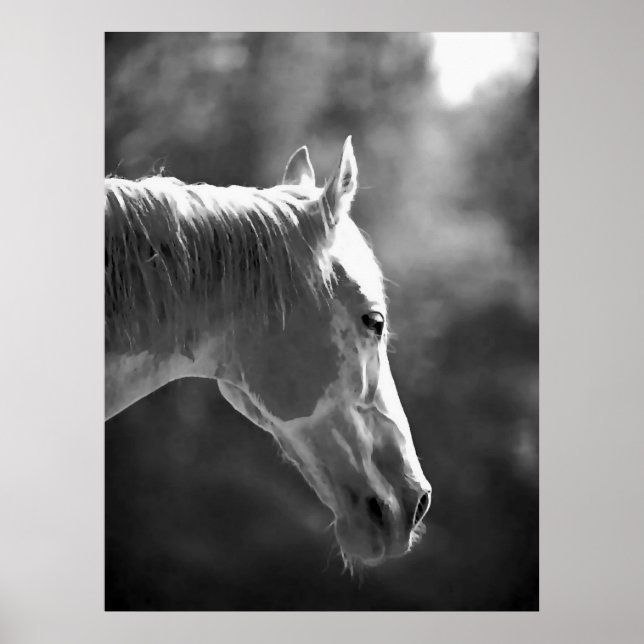 Poster de impresión de caballos de arte pop negro  (Frente)