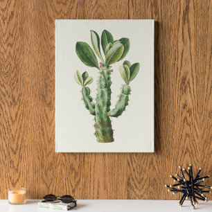 Poster de impresión de cactus botánicos de color d