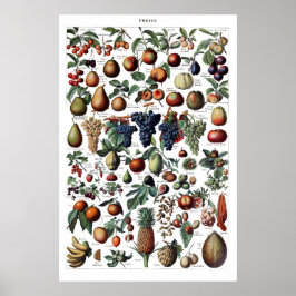 Poster de impresión de fruta antigua