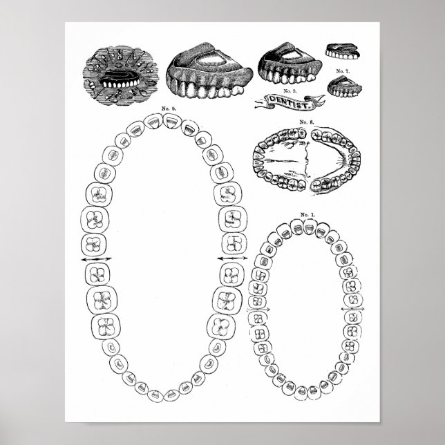 Poster de impresión de gráfico dental dental antic (Frente)