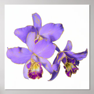 Poster de impresión de grupo de orquídeas púrpura