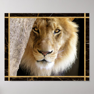 Poster de impresión de imagen de gato grande de le