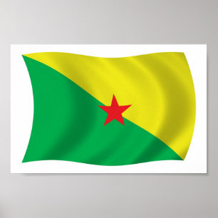 Póster de impresión de la bandera de liberación de