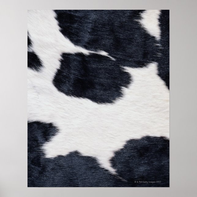 Poster de impresión de piel de vaca (Frente)