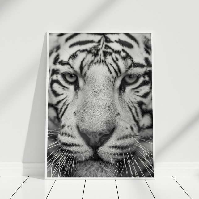 Poster de impresión de tigres blancos y negros (Black and White Tiger Print Poster in white frame on white wooden floor.)