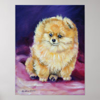 Poster de impresión en pared de Pomerania