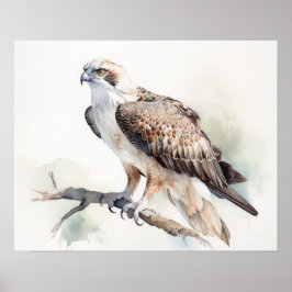 Poster de impresión Osprey Bird Art