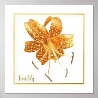 Poster de impresión Tiger lily con acento de Relie