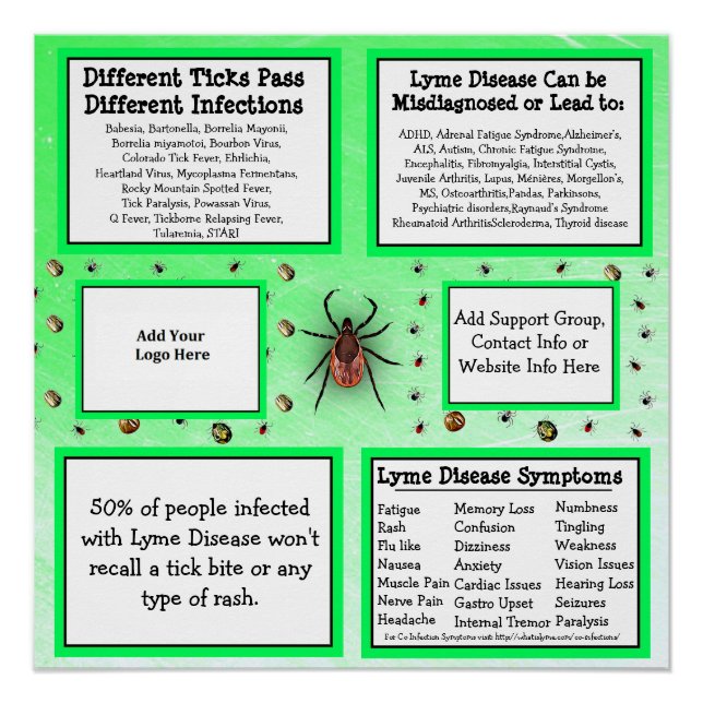 Poster de Información sobre Enfermedad de Lyme Per (Anverso)