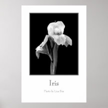 Póster de 'Iris'