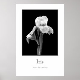 Póster de 'Iris'