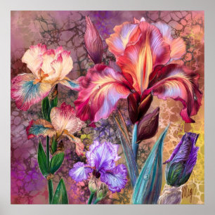 Póster de Iris Coloridos
