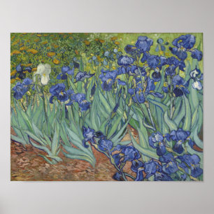 Póster de Iris de Van Gogh