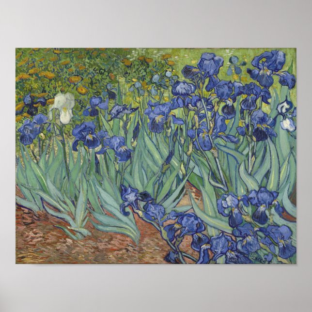 Póster de Iris de Van Gogh (Frente)