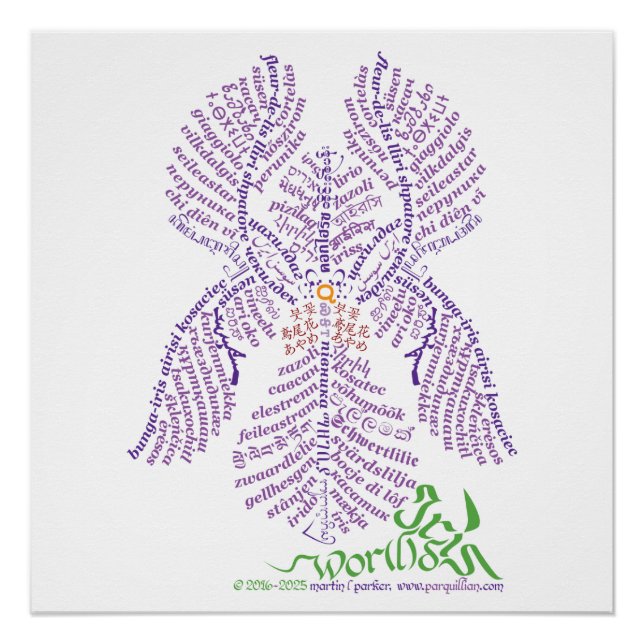 Poster de Iris de World Word (Anverso)