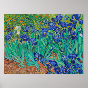 Póster de Irises de Van Gogh