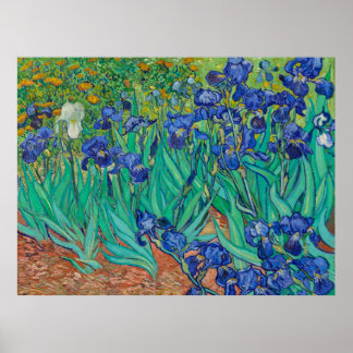 Póster de Irises de Van Gogh