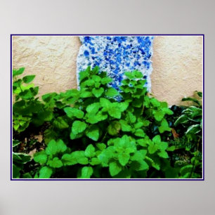 Póster de jardín de hierbas de melón de limón