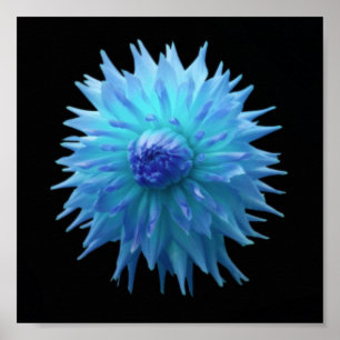 Póster de Jennie Azul sobre Fondo Negro