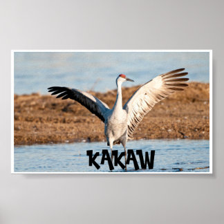 Póster de KAKAW