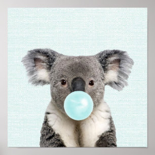 Póster de koala soplando chicle azul