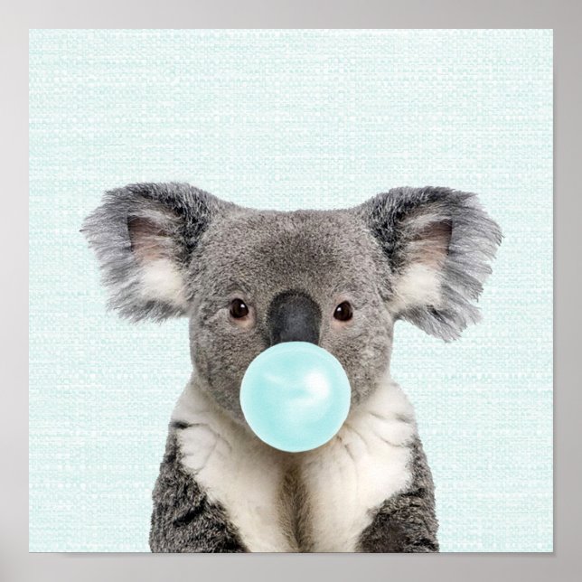 Póster de koala soplando chicle azul (Frente)