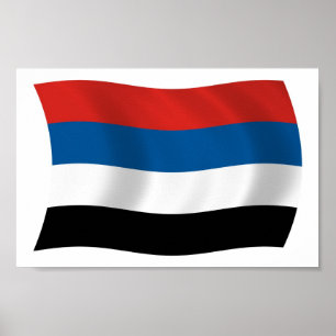 Póster de la Bandera de los Pueblos Indígenas de C