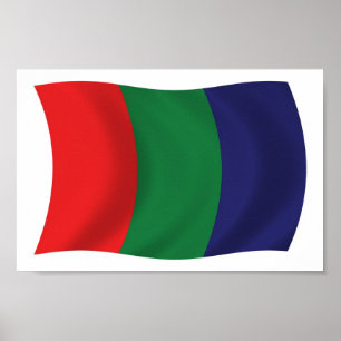 Póster de la bandera de Marte impresa