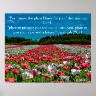 Póster de la Biblia con Foto de Campo de Amapolas