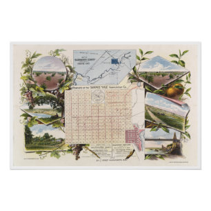 Póster de la Colonia Orange Vale 1895