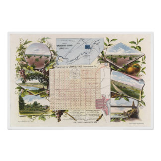 Póster de la Colonia Orange Vale 1895
