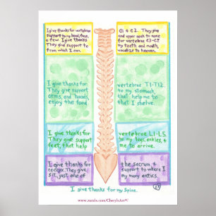 Póster de la columna vertebral - Doy gracias por l