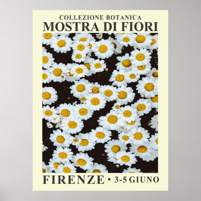 Póster de la Exposición Floral No. 5 (Frente)