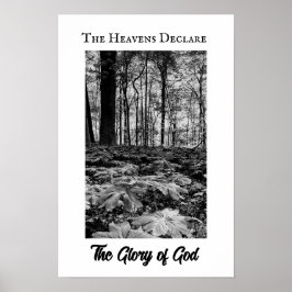 Póster de la Gloria de Dios del Bosque en Blanco y