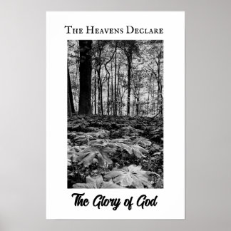 Póster de la Gloria de Dios del Bosque en Blanco y