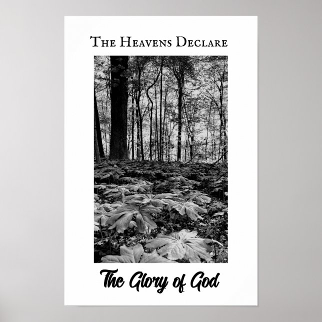 Póster de la Gloria de Dios del Bosque en Blanco y (Frente)