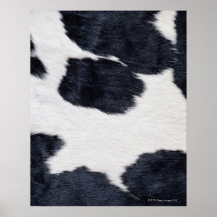 Poster de la impresión del piel de vaca