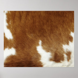 Poster de la impresión del piel de vaca de Brown