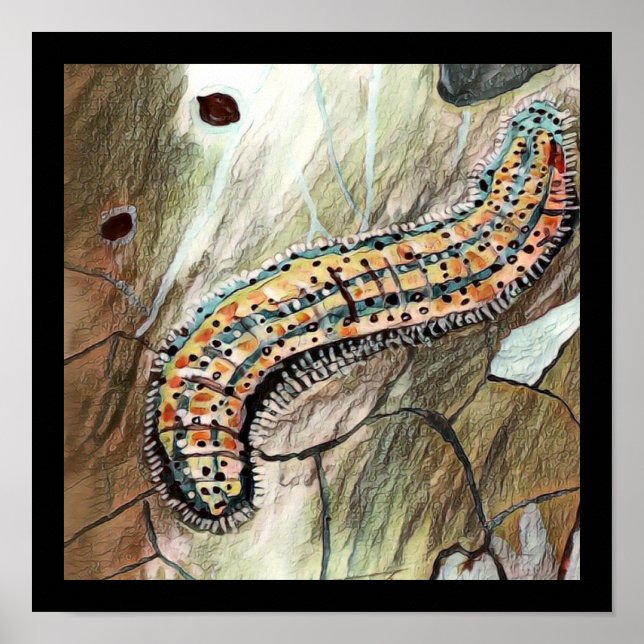 Póster 🐛 De La Mariposa Blanca Del Este 🦋 (Frente)