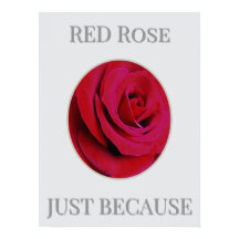 Póster de la Rosa Roja