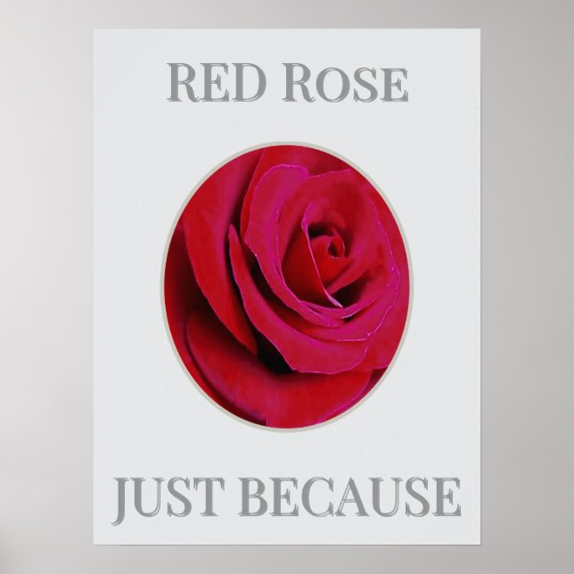 Póster de la Rosa Roja (Frente)