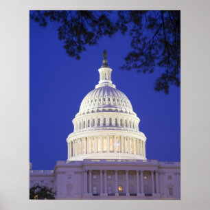 Póster De la Rotonda del capitolio en la noche,